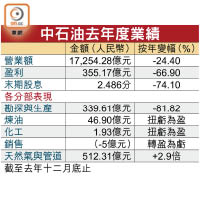 中石油去年度業績