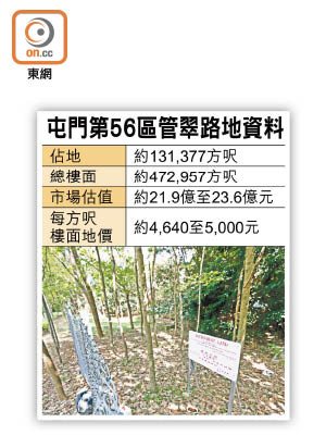 屯門第56區管翠路地資料