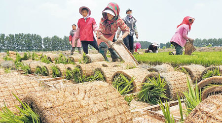 普惠金融明年實施定向降準，令內地農業受惠。