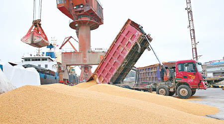 中美貿易戰令到大豆價格急跌。