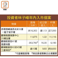 投資者林子峰年內入市個案