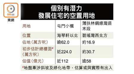 個別有潛力發展住宅的空置用地