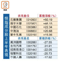 恒指成分股上半年表現