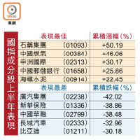 國指成分股上半年表現