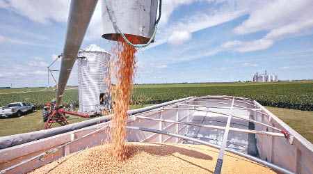 大豆價格將繼續受到供需基本面打壓。