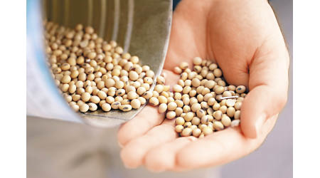 內地或增加購買美國大豆等農產品以削減貿盈。
