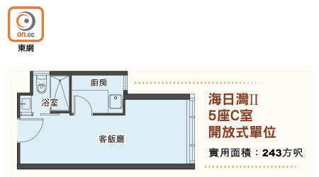 海日灣II5座C室開放式單位