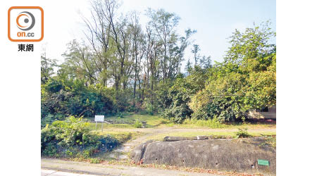 大嶼山長沙嶼南道住宅項目，獲批興建24幢兩層高洋房。