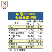 中電2020年全年業績概覽