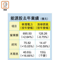 能源股去年業績