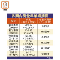 多間內房全年業績摘要