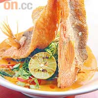 Deep Fried Snapper with Rich Red Curry $175<br>新鮮鱲魚起骨後炸成彎曲狀，非常有睇頭。煮魚的紅咖喱秘方乃大廚自創，特別加入了蒜蓉及蝦膏等調製，更加惹味。