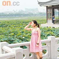 蓮湖公園的荷田面積逾300畝，7月更是花開燦爛的好時節。