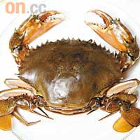 黃油蟹產於珠江三角洲，包括流浮山、后海灣等地，以重約七至八両、油分比例高及完全油化等為優質。