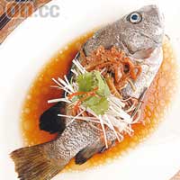 古法蒸海魚<BR>時令細鱗蒸得火候剛好，伴以肉絲及香菇絲蒸，鮮嫩魚肉吸收了香菇及肉絲味道，較清蒸更美味。