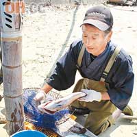 湯川先生親自整理魚獲，洗去血水。
