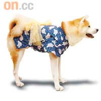 秋田犬 Akita Dog