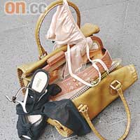 牛皮Firenze bag $26,800 雪紡帶高踭鞋 $10,800喱士Bra top及Brief各 $2,680