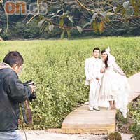 「天地花海」是新人拍攝婚紗的熱門地，在花海內常可發現他們的蹤影。