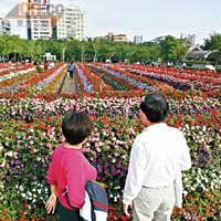 大安森林公園為台北最大公園，11月的2010台北國際花卉博覽會亦在此舉行。