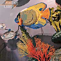 近400條大小及形態各異的熱帶魚。