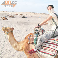 在沙漠騎駱駝，記得用頭巾圍住口鼻，以免風沙撲面。