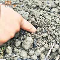 用手指可分辨出沒被化肥「種壞」了的泥土。