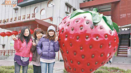 文化館前設有巨型草莓雕塑，吸引旅客拍照留念。