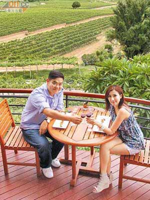 Michael子羚在環境開揚的餐廳品酒，欣賞一望無際的葡萄園美景。