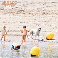 Cap Ferret漁村沿岸的沙灘，是村內孩子們的樂園。