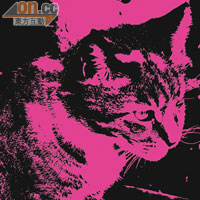 Punk模式<br>反黑加粉紅色的貓貓感覺相當匪夷所思，得出不錯的視覺效果。