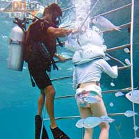 切勿跳水，你要爬梯才能安全到達4米深海床。