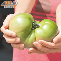 農場最大的一隻巨型番茄，兩隻手也包不住。
