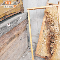 村內的老人家會以養蜂取蜜的方式來自製養生食品。