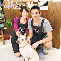 除店主夫婦外，店內還有他們的愛犬TOMO（日文中朋友的意思）。