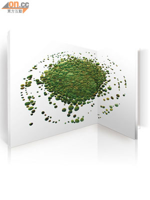 英國生態藝術家Anna Garforth，喜歡用紙板和苔蘚等可循環再造的物料來創作。
