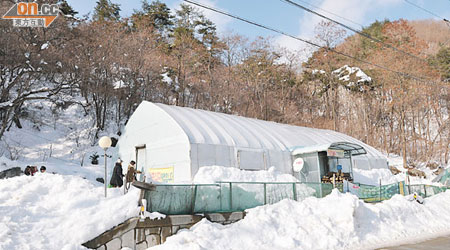 一看便知由溫室改裝而成的餐館，開業8年來有不少捧場客。