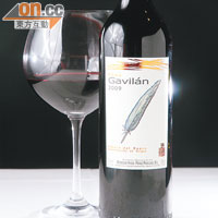 Spain Cepa Gavilán 2009 $700/支<br>果味與辣味並重，配任何一款Tapas都相當合拍，靈活度較高。