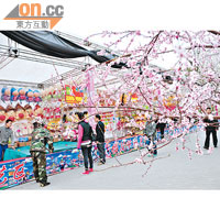 櫻花節期間除有大量遊戲攤位，還會有台灣美食登場。