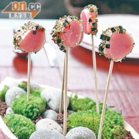 Tuna Lollipop<br>串成棒棒糖的吞拿魚刺身，蘸勻Wasabi、紫菜、芝麻碎粒，插在日式盆景上，很別致！