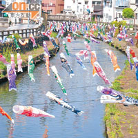 巴波川即日起到5月14日前，會因應男孩節這個傳統，於河流上方掛上逾千條鯉魚旗。