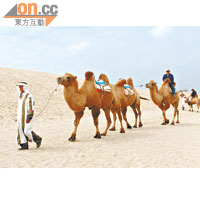 來到沙漠，當然不可錯過騎駱駝，每程收費￥60（約HK$74）。