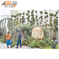 代代木Village找來有150年歷史植物店「花宇」的第5代掌舵人西畠清順負責植物布置。