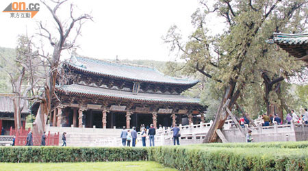 晉祠內有不少千年古樹，包括在西周時期所植的柏樹王。
