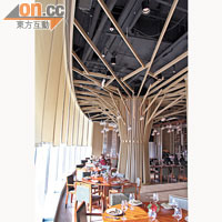 餐廳中央超巨型的木杧果樹，加上樹枝上垂吊的吊燈，配上落地玻璃窗的折射，感覺既前衞又貼題。
