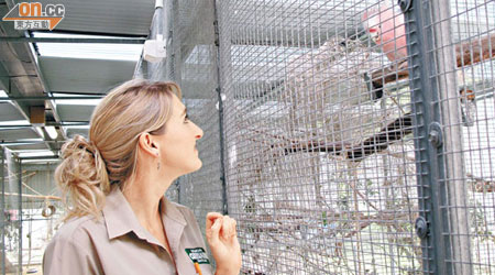成為動物學家，可以長期與動物接觸，照顧動物是必然的工作。