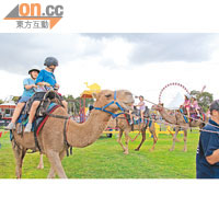 悉尼皇家「澳」妙嘉年華是小朋友親親動物的好機會，連駱駝都有得騎。