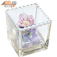 現貨推介<br>把紫色麗乾花放入小巧玻璃盒，浪漫滿溢。$500