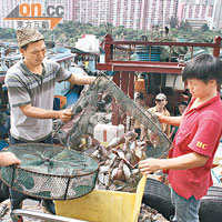 停泊於魚市場的船隻多屬駁船，負責把捕魚船的魚獲送上岸。