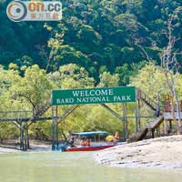 經過約20分鐘的船程，才正式到達Bako National Park。